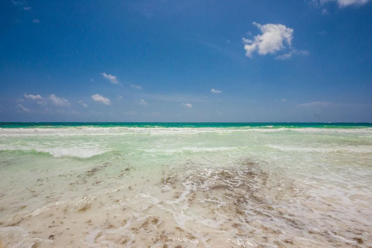 Luxury Beachfront Villa In Sian Kaan Tulum Mexico